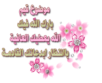 :	 .gif
: 16
:	91.0 