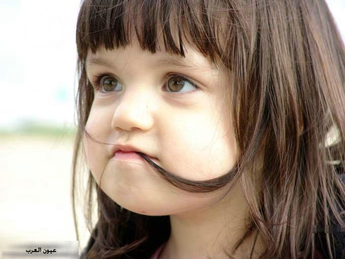  attachment.php?attachmentid=642&d=1296700434